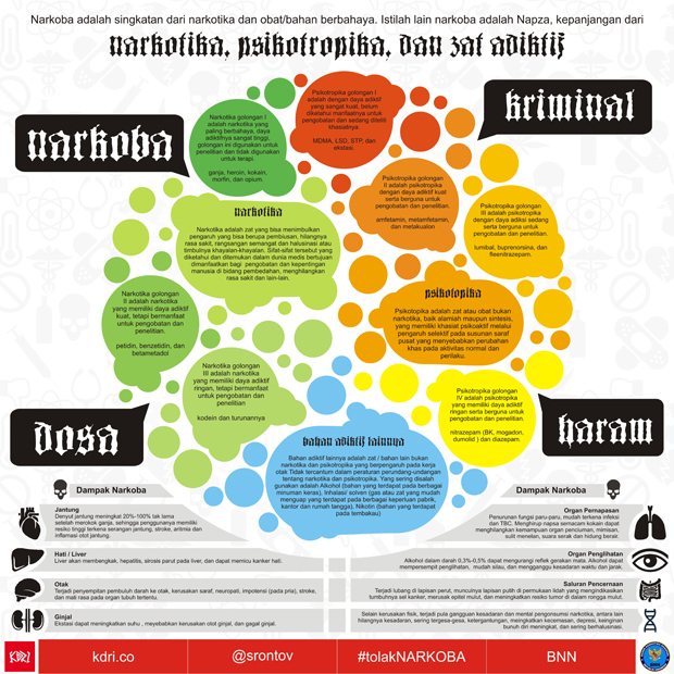 infografis narkoba  HelloMotion com